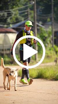 BIB:  <button type="button" onclick="openModal(26573287)" class="btn btn-primary btn-sm float-right" data-toggle="modal" data-target=".modal-high-quality">
                <i class="fa fa-download"></i> Download
                </button>